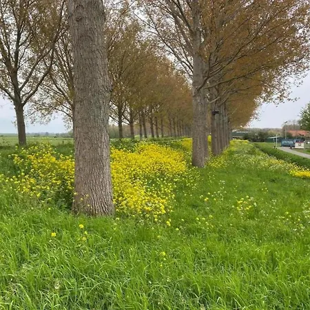 Nyaraló In South Holland With Private Jetty *