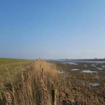 In South Holland With Private Jetty Simonshaven