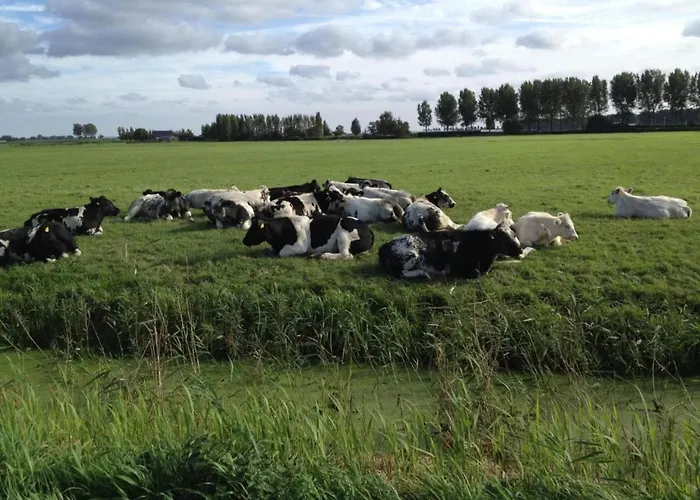 In South Holland With Private Jetty Сasa de vacaciones *