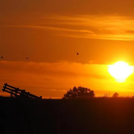 In South Holland With Private Jetty Semesterbostad *