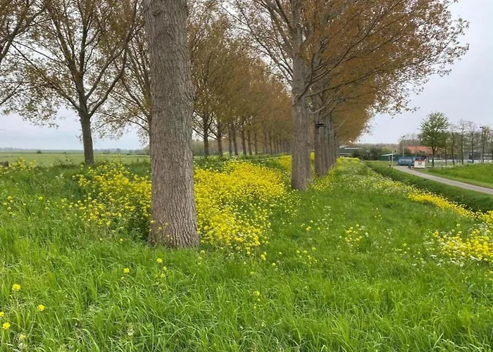 بيت للعطل In South Holland With Private Jetty *