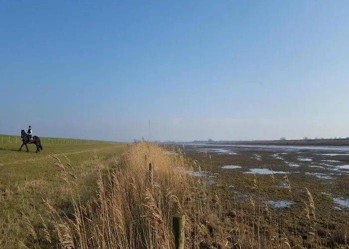 In South Holland With Private Jetty Simonshaven